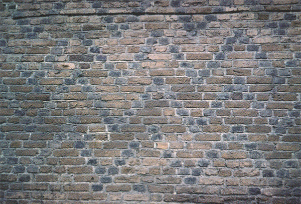 Mur z cegly z dekoracja zendrowkowa