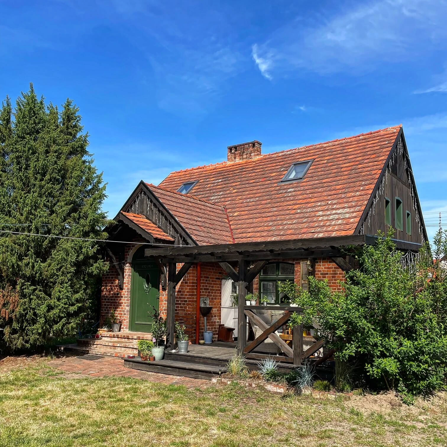 dom-pod-krolikiem-08