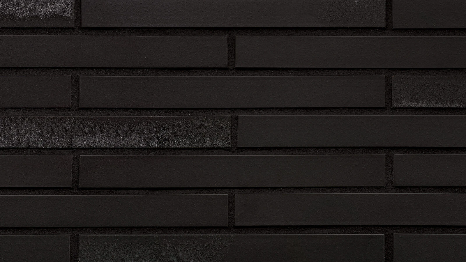 lf24-midnight-dazzle