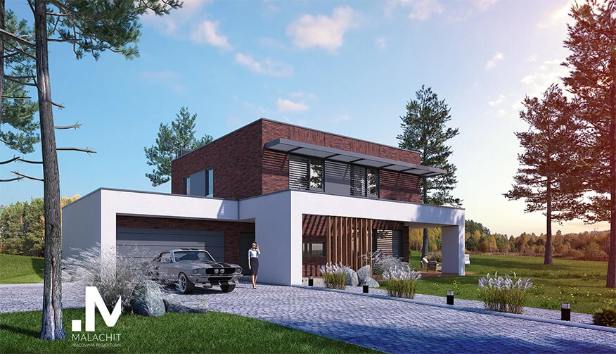 dzc-0333-dom-jednorodzinny-crastinus-