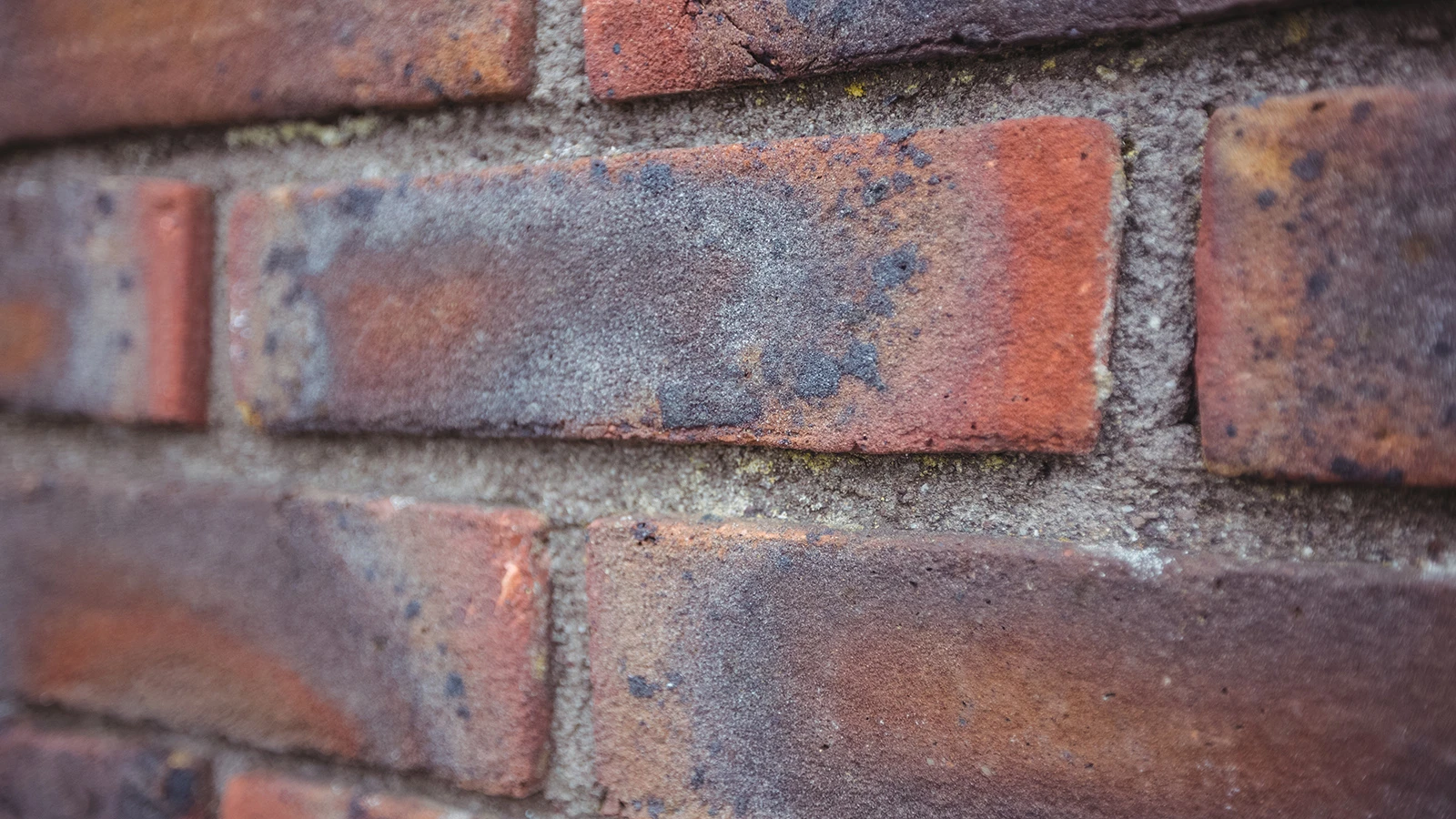 ocena-wlasciwosci-cieplnych-czerepu-w-ceramicznych-elementach-murowych