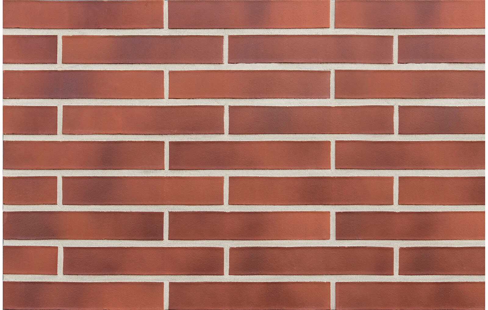 darwin-ldf-czerwonobrazowa-gladka