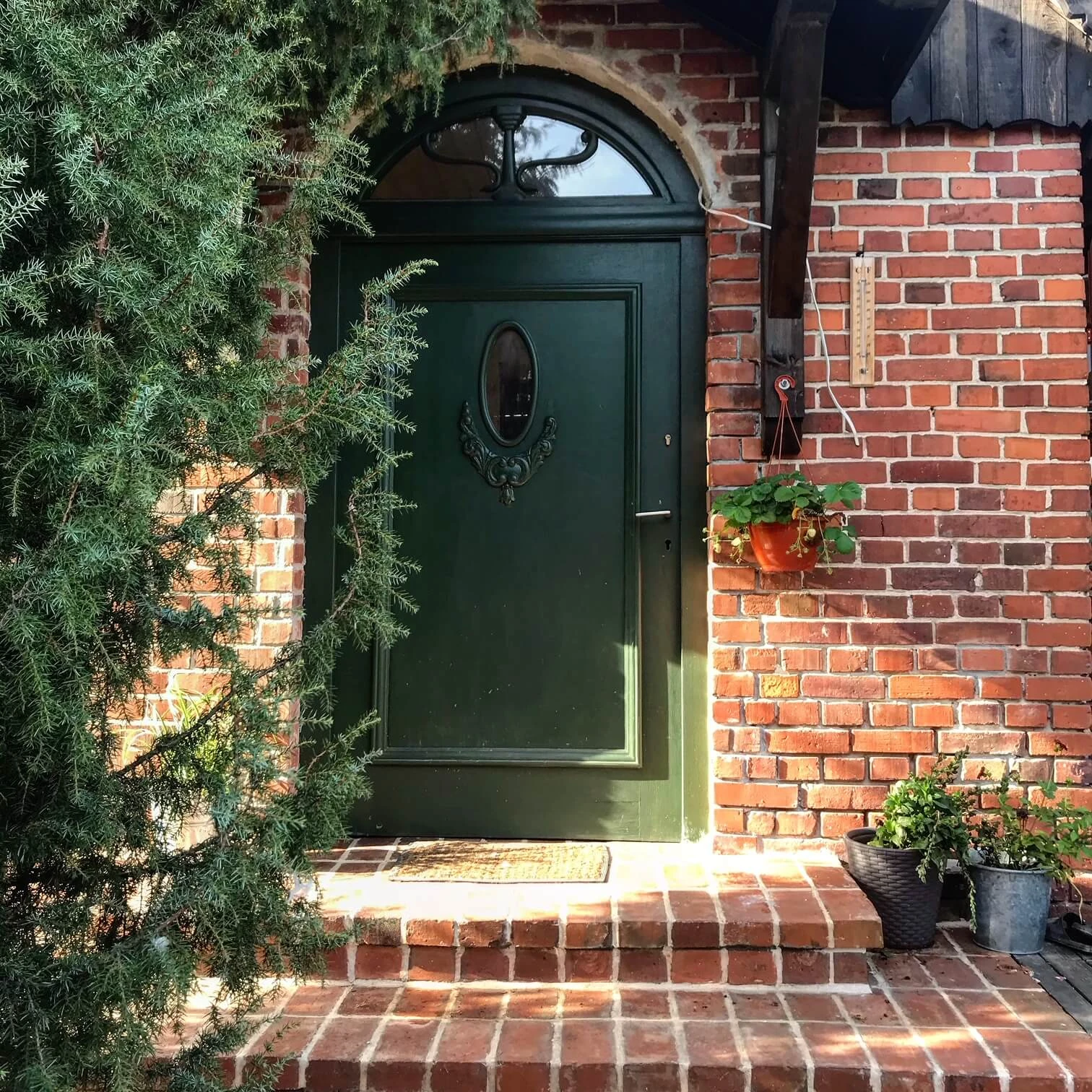 dom-pod-krolikiem-05