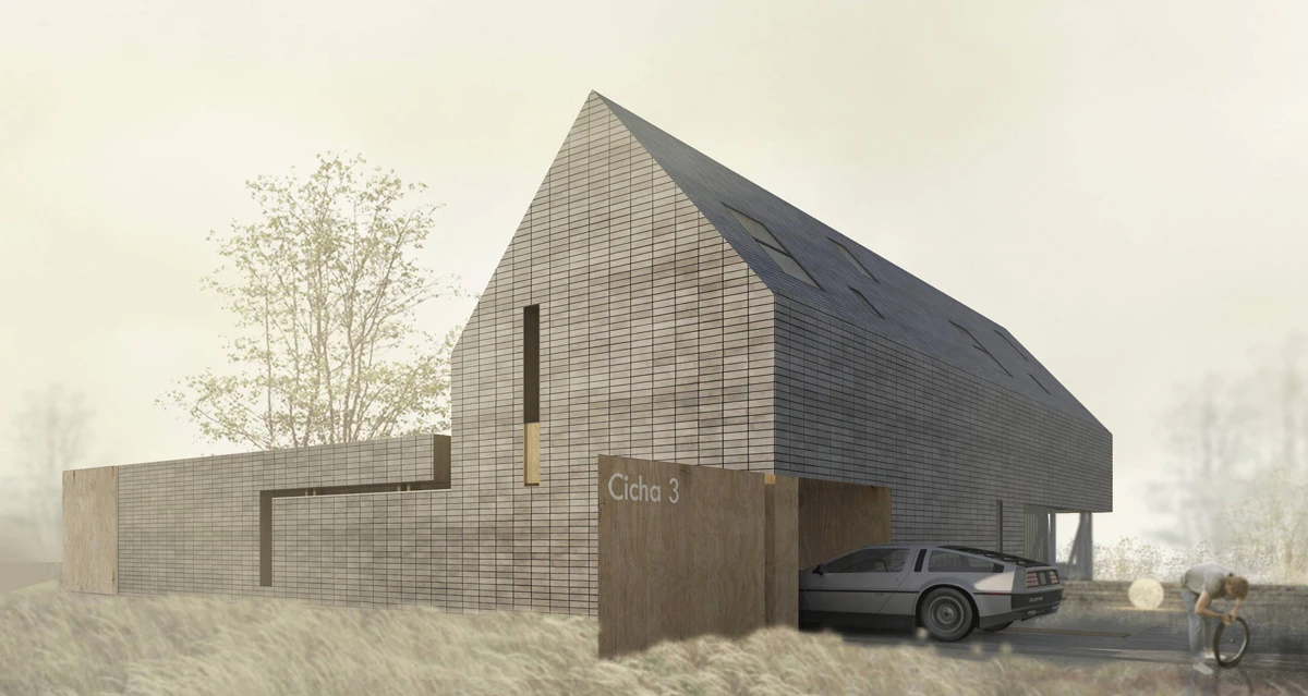 dzc-0110-dom-pod-kolobrzegiem-06