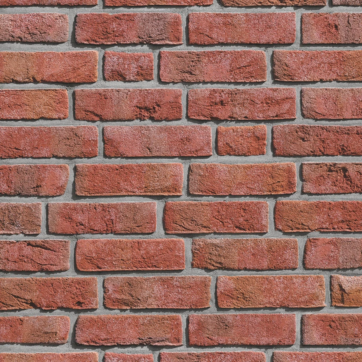 formback-jasnoczerwona-cieniowana