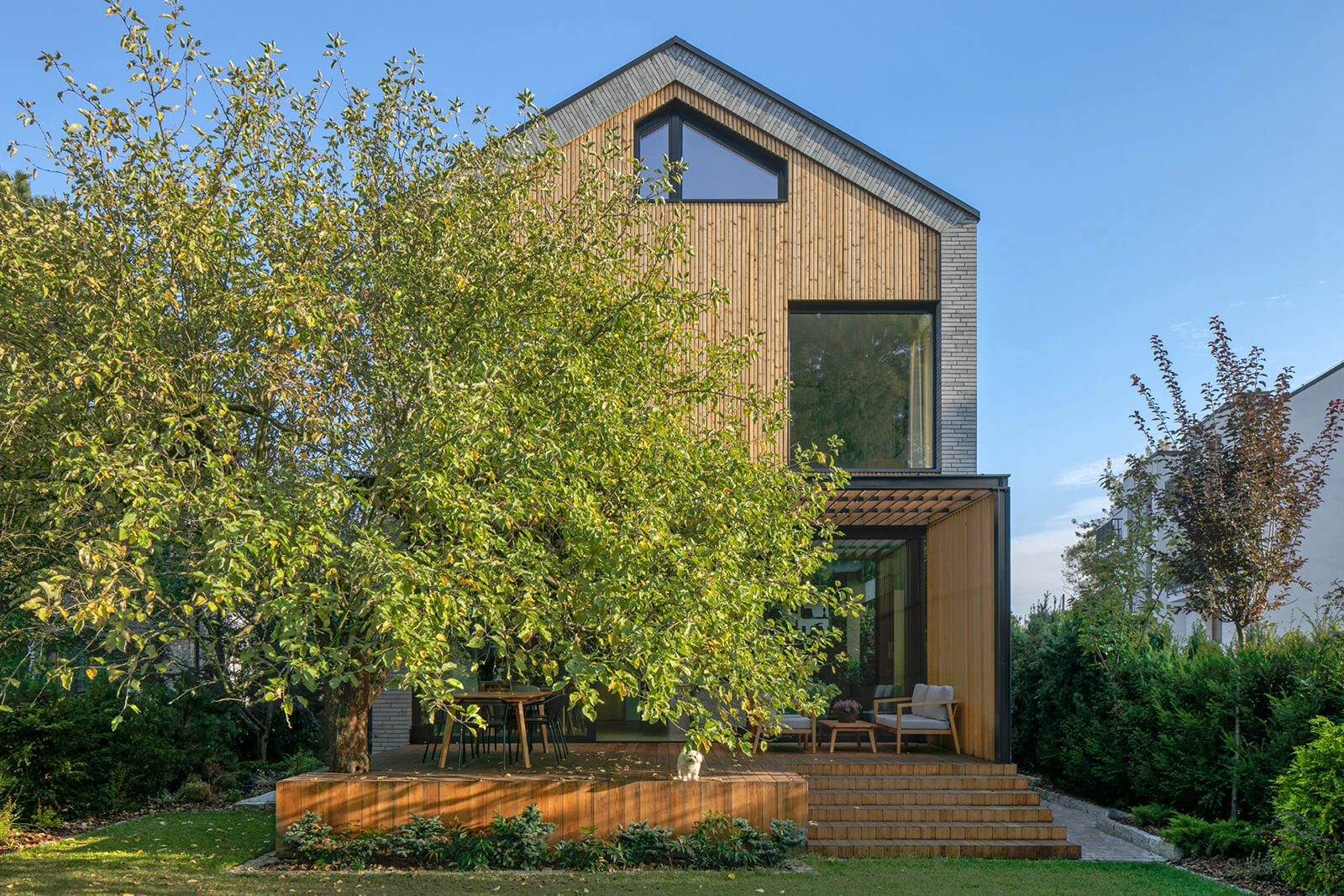 dzc-0703-dom-z-jablonia-02