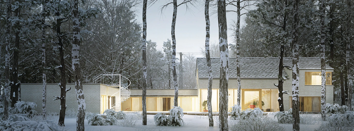 dzc-0091-dom-jednorodzinny-05