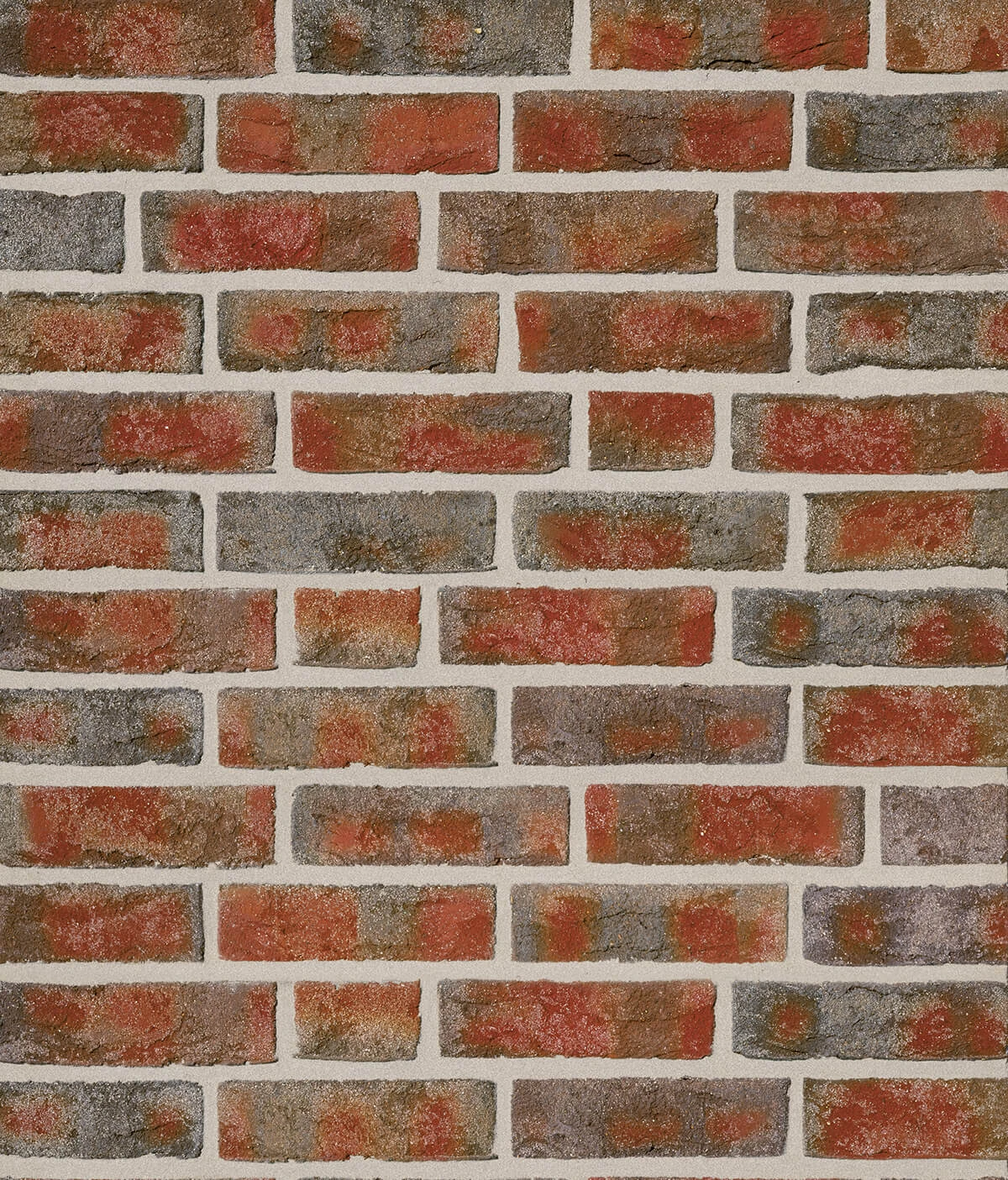 formback_podpalana_cieniowana_lg