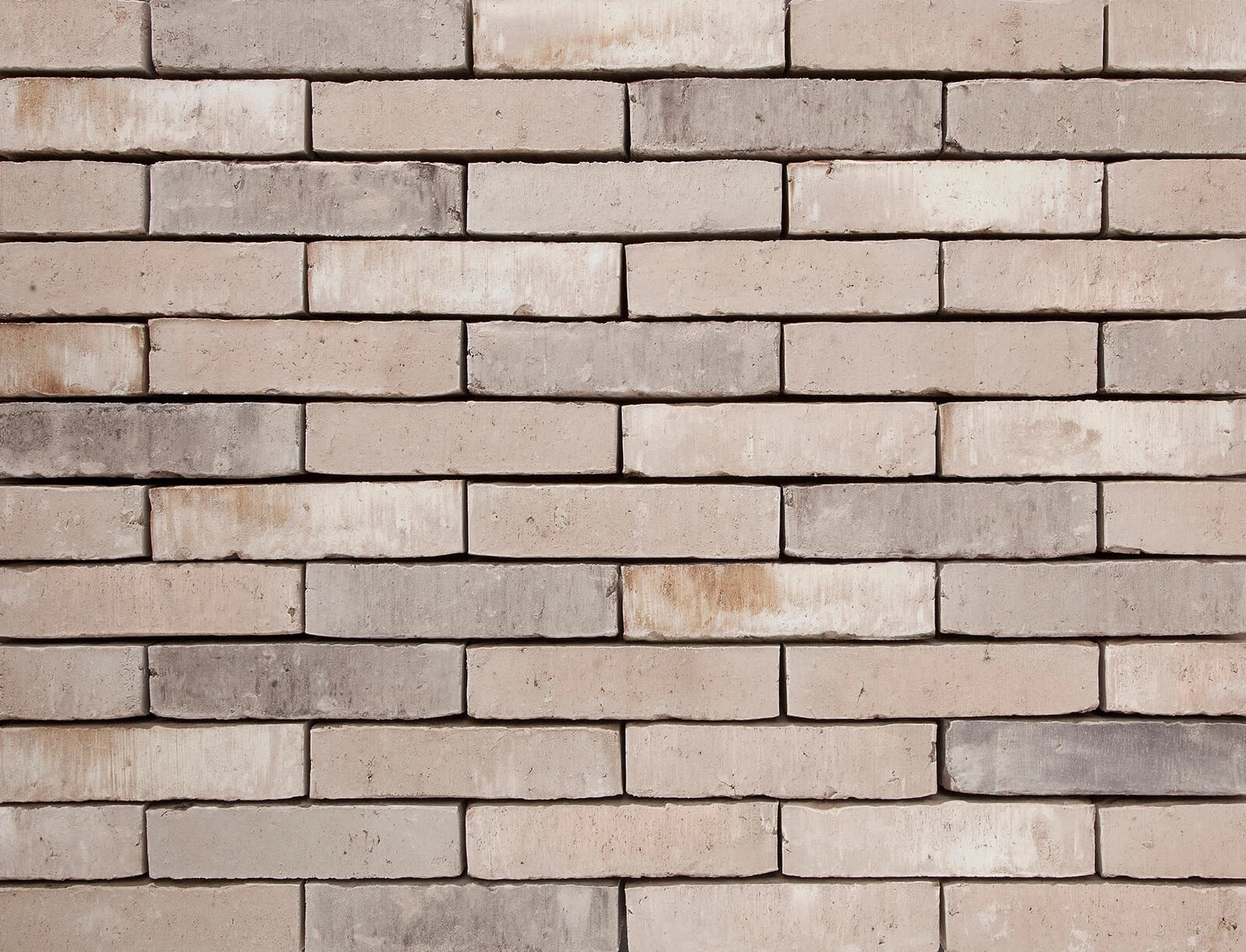 vandersanden-501-hagen-ws