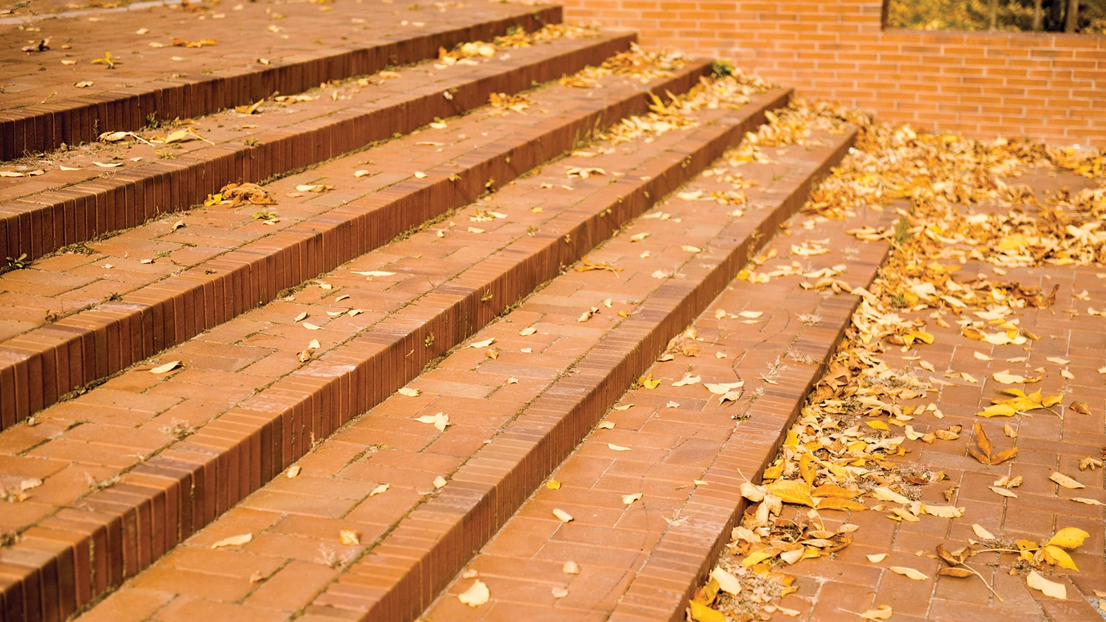 zastosowanie-bruku-klinkierowego-w-zakresie-nawierzchni-zewnetrznych-oraz-innych-elementow-malej-i-duzej-architektury