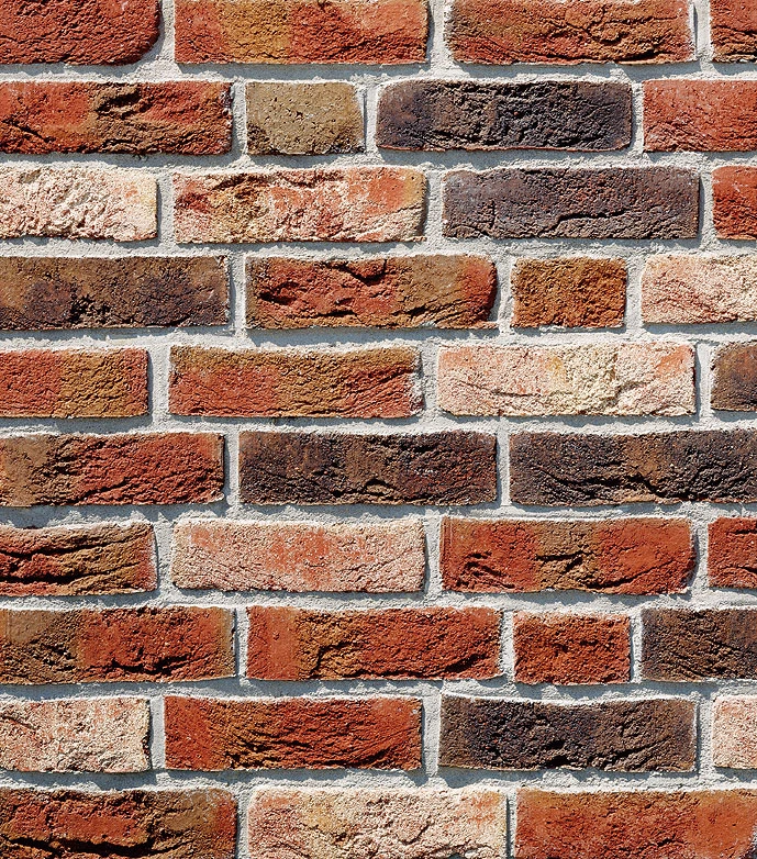 dykbrand_flamandzka_cieniowana_lg