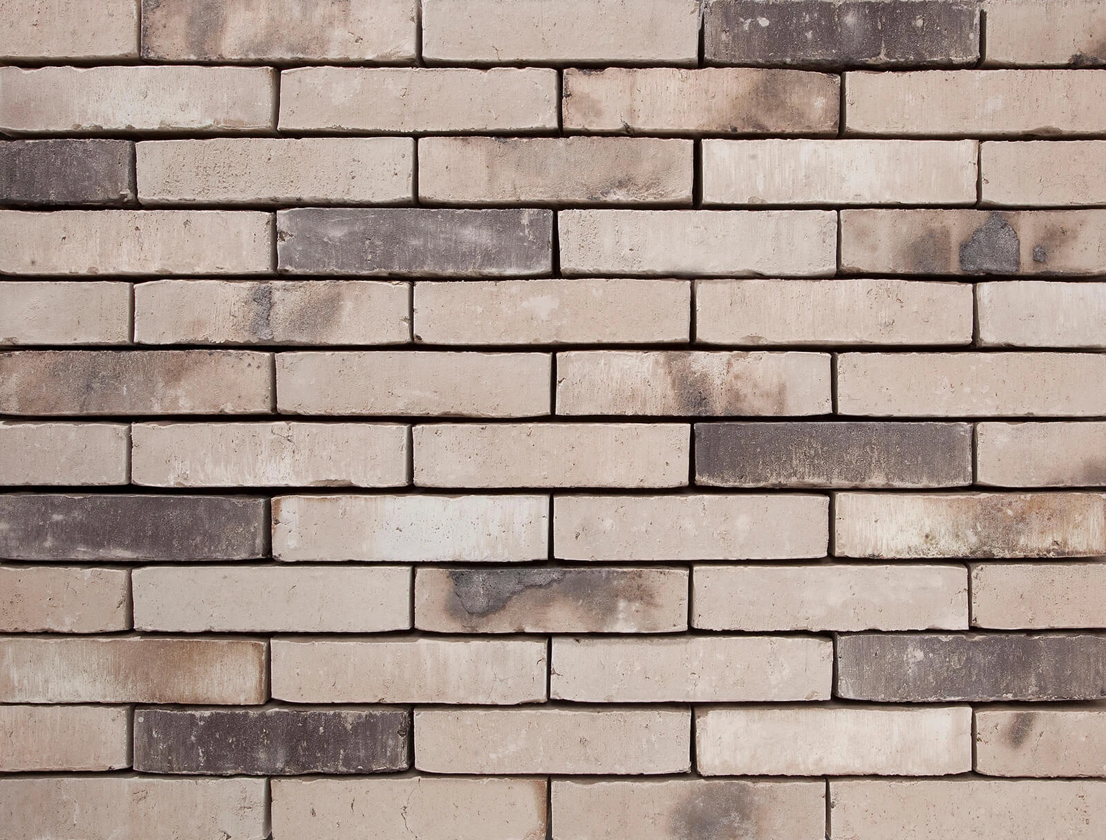 vandersanden-502-haldor-ws