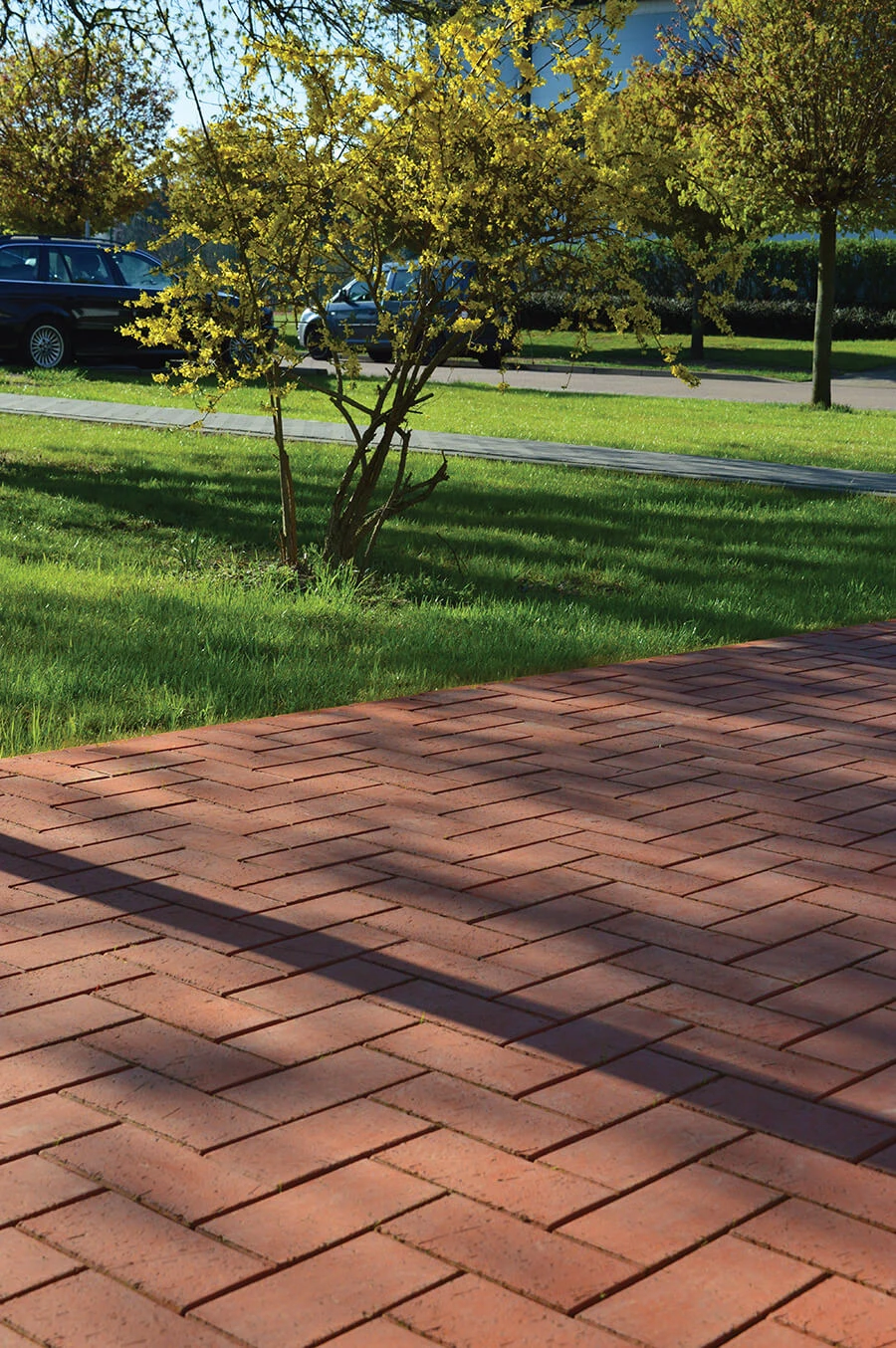 gorlitz-realizacja-01-lg