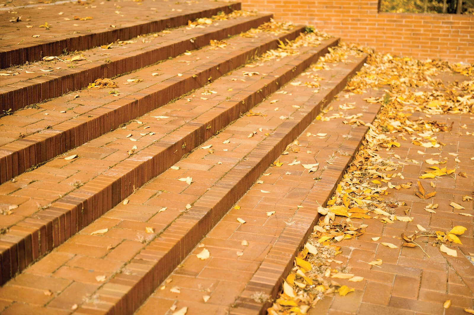 radeberg-realizacja-07-lg