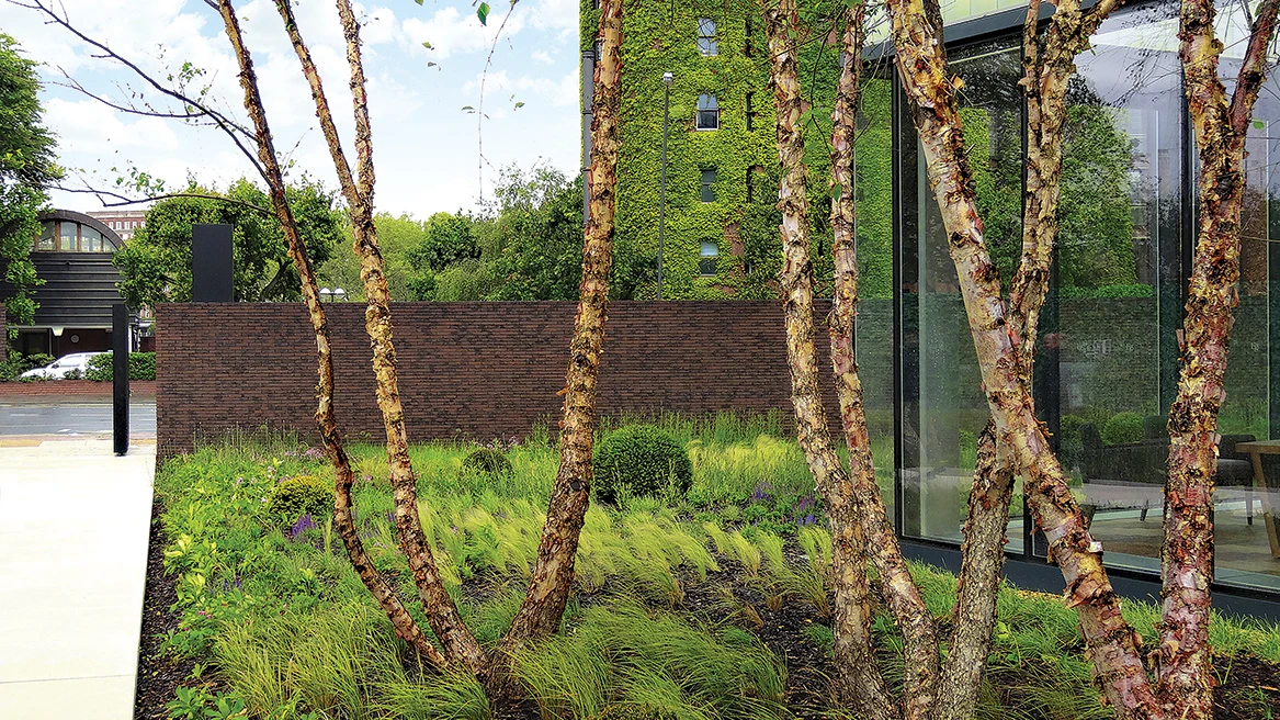 realizacja-97-robusta-vandersanden-25