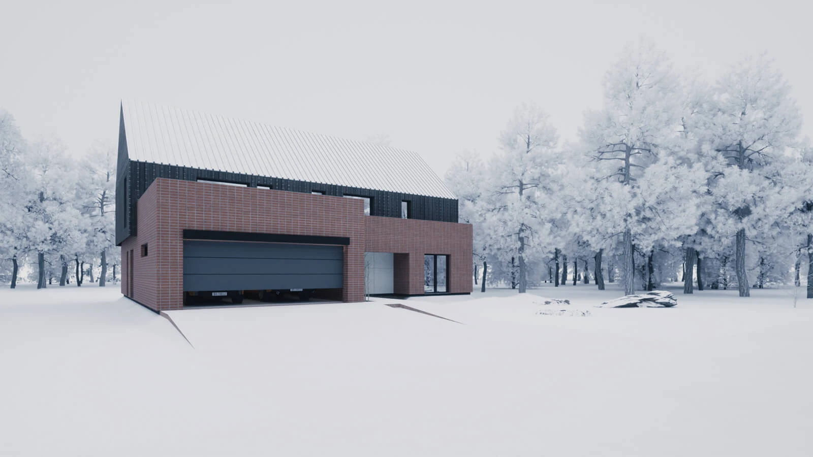 dzc-0532-dom-w-laskach-1