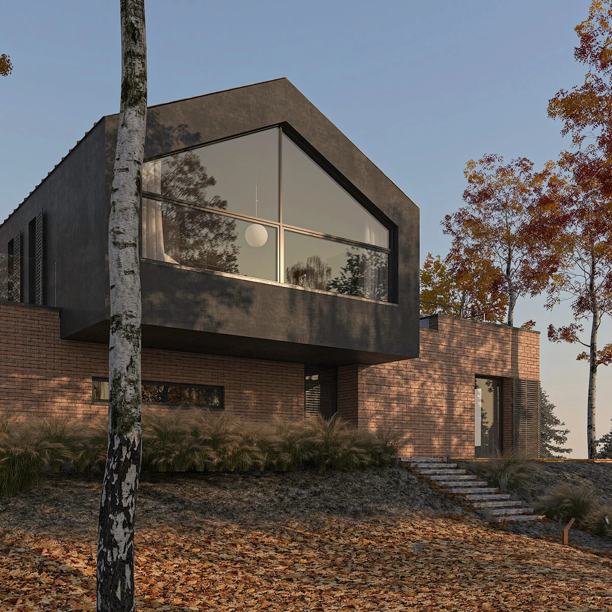 dzc-0869-modern-house-06