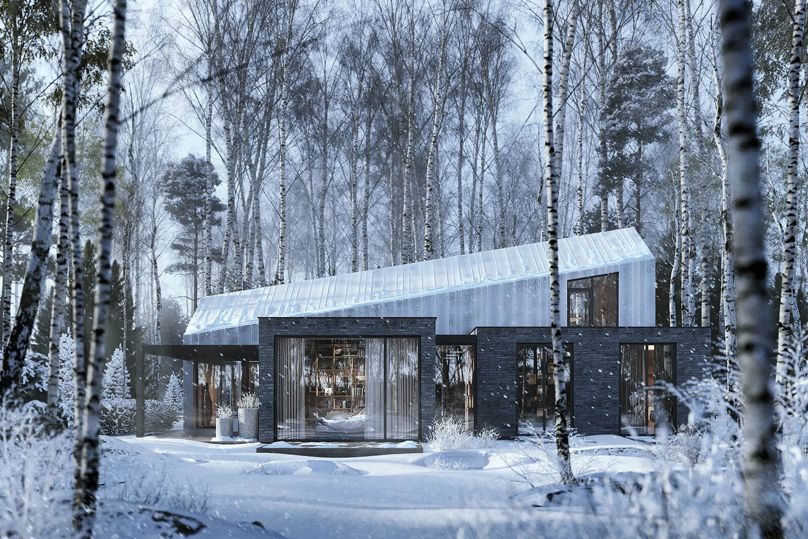 dzc-0641-dom-brzozowy-04