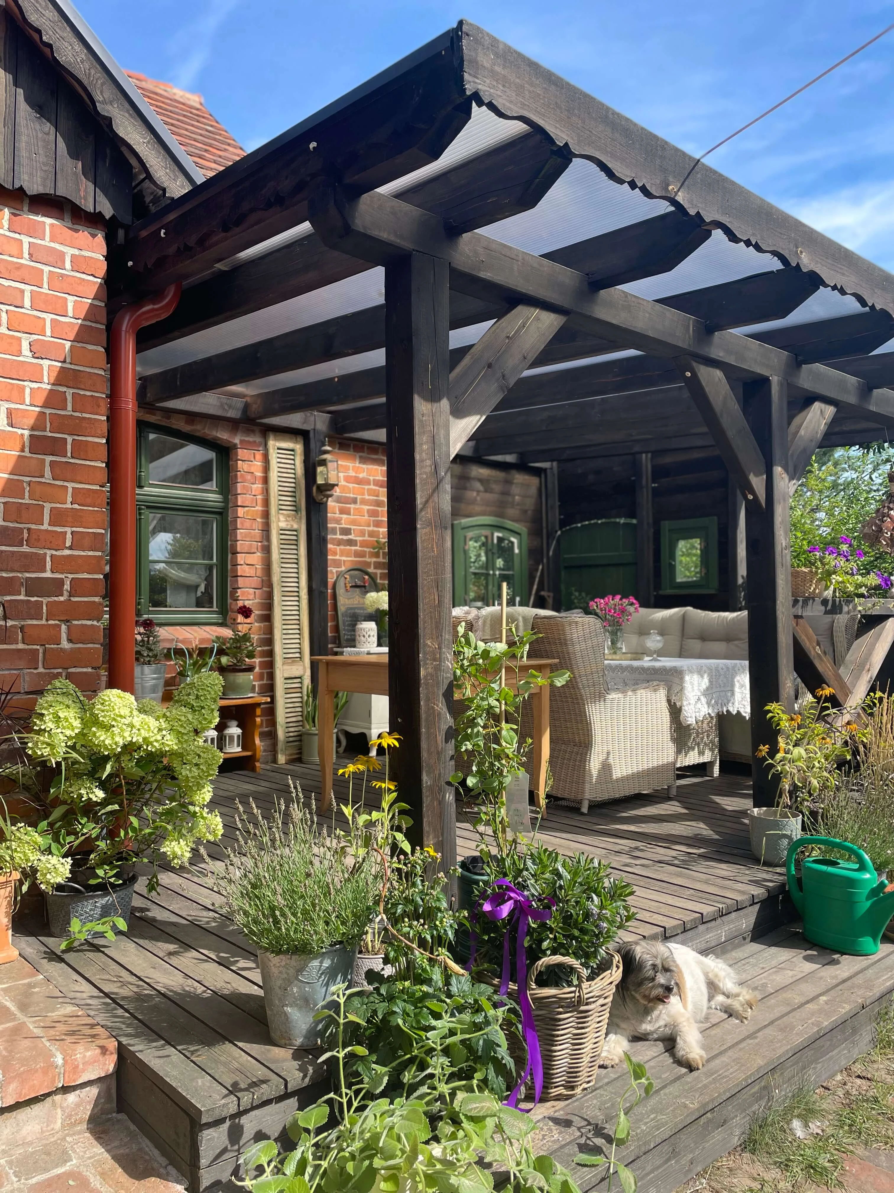 dom-pod-krolikiem-04