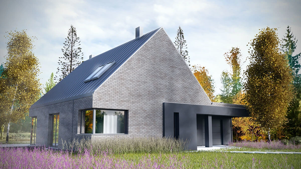 dzc-0182-dom-jednorodzinny-nad-jeziorem-01