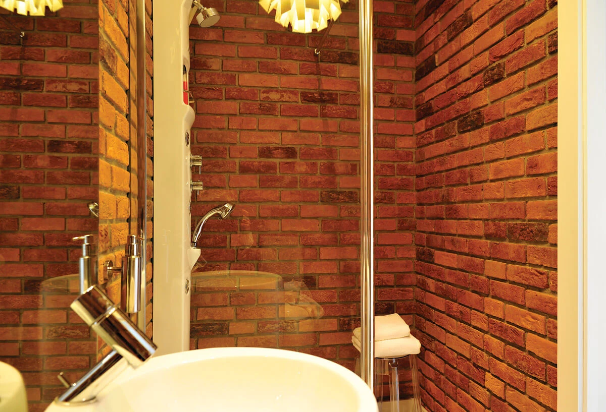 dzc-0155-dom-pod-poznaniem-03