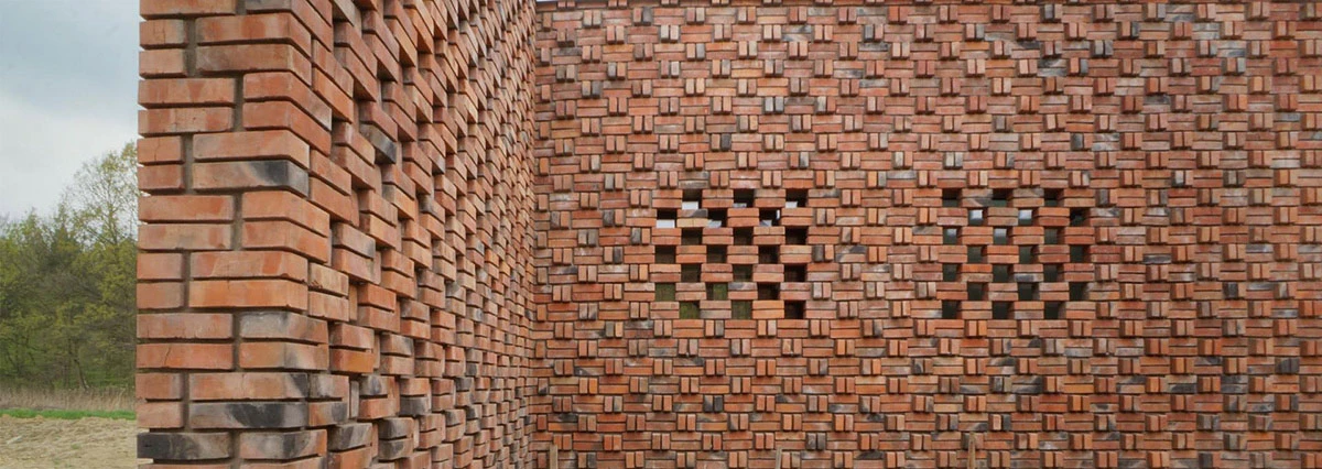 dzc-0116-rudy-dom-11