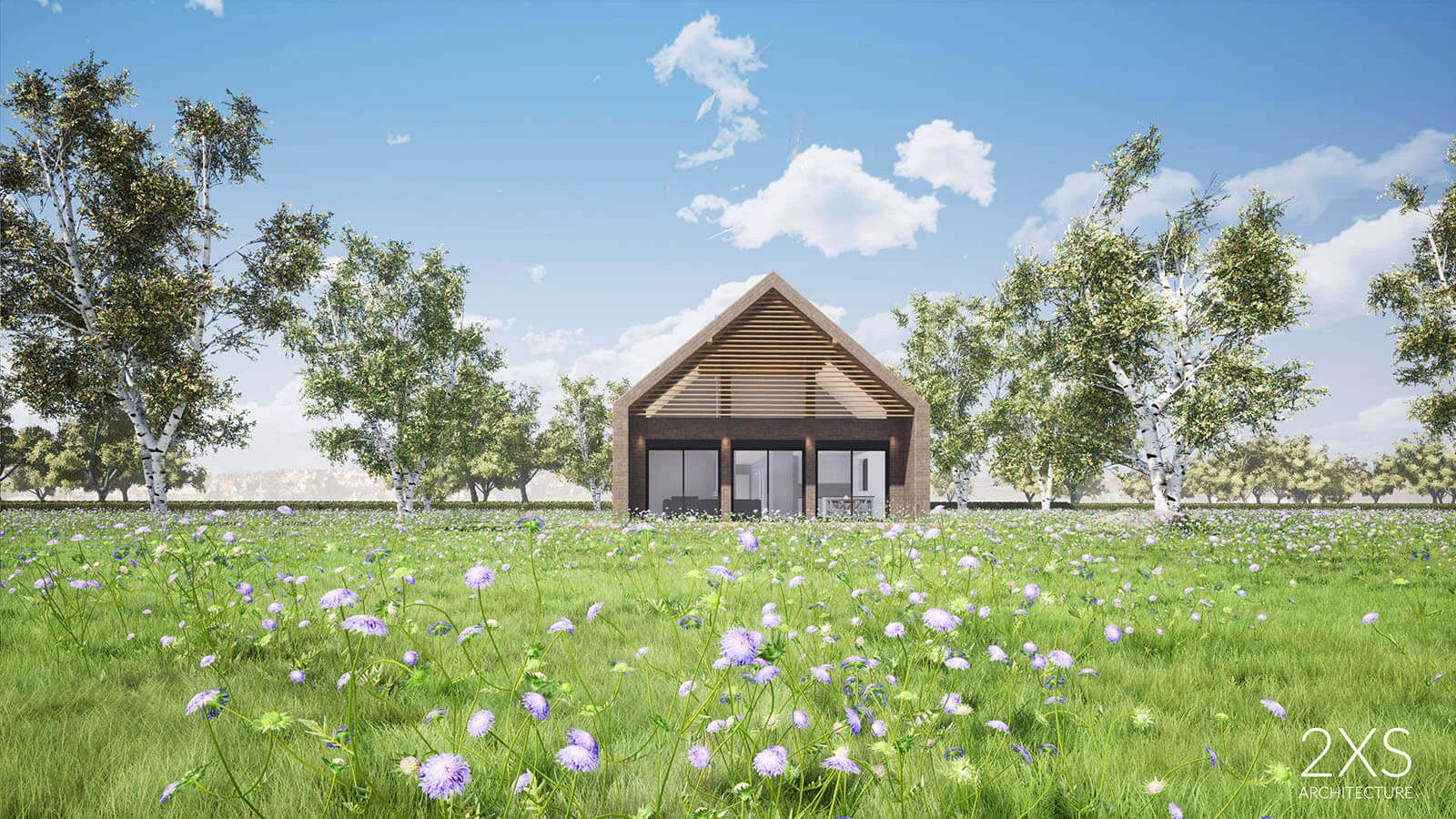 dzc-0311-dom-jednorodzinny-w-brzezinie-04