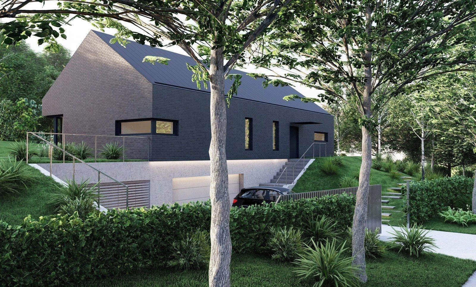 dzc-0712-projekt-czarna-elka-03