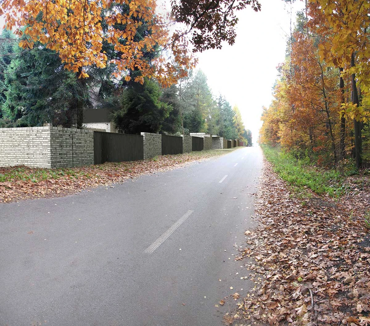 dzc-0173-dom-pod-pabianicami-01