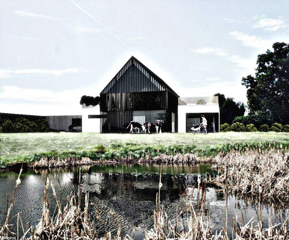 dzc-0088-dom-podcieniowy-20