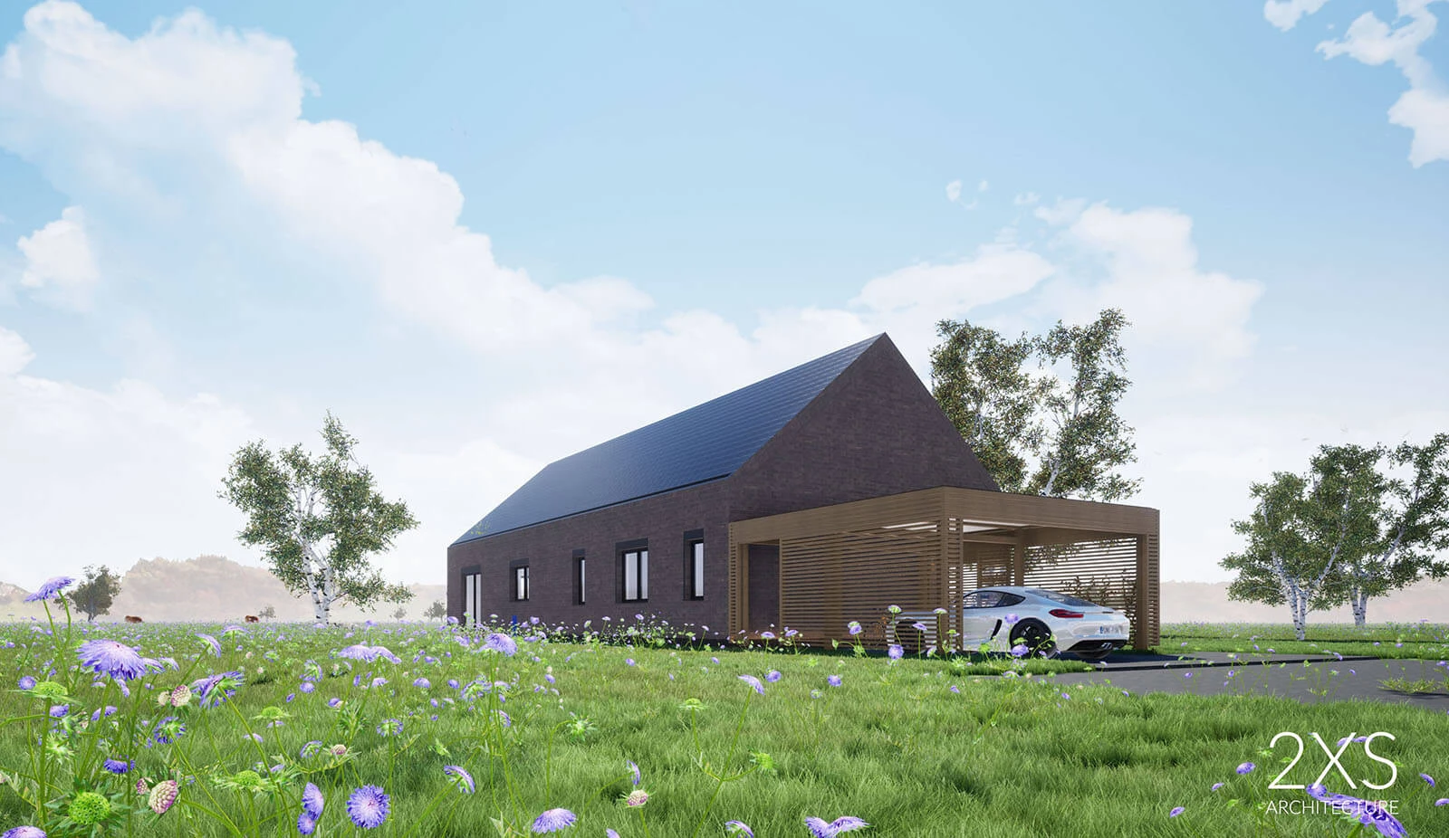 dzc-0311-dom-jednorodzinny-w-brzezinie-01