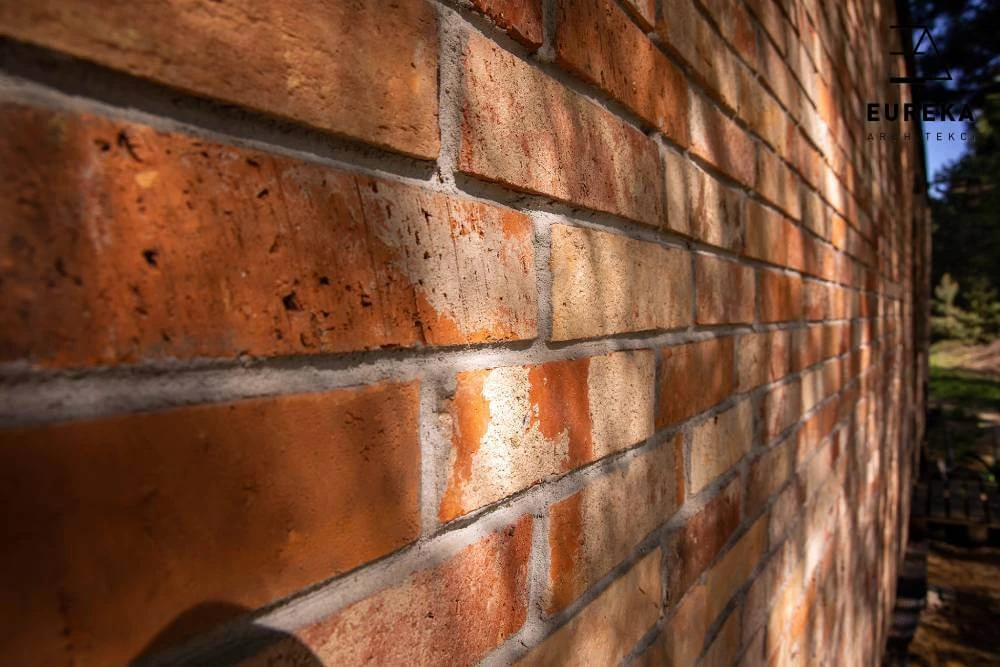 dzc-0313-dom-w-marianowie-01