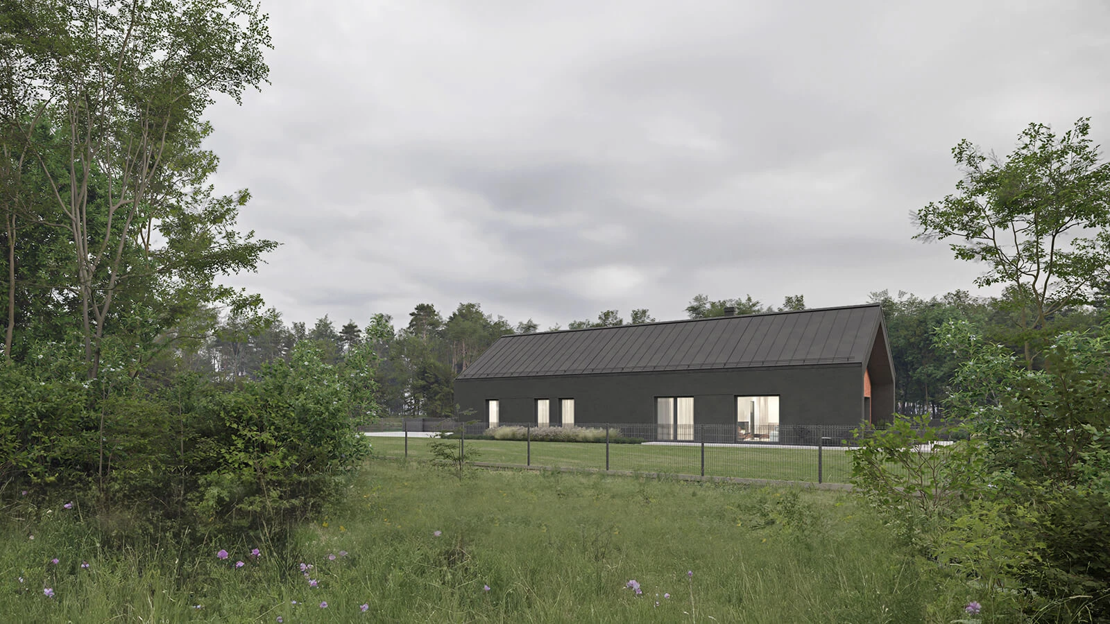 dzc-0811-dom-dbg_24-09