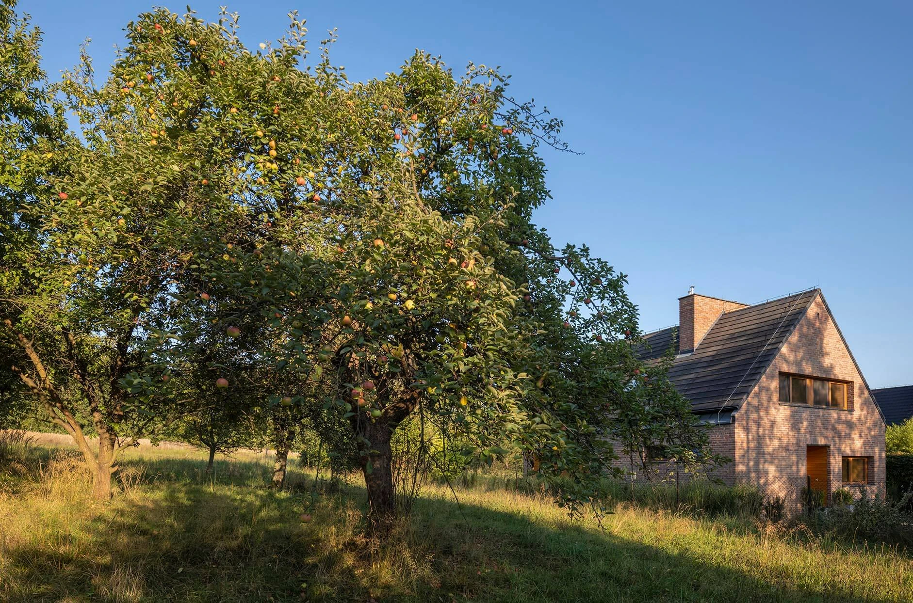 dzc-0875-dom-w-pawlikowicach-20