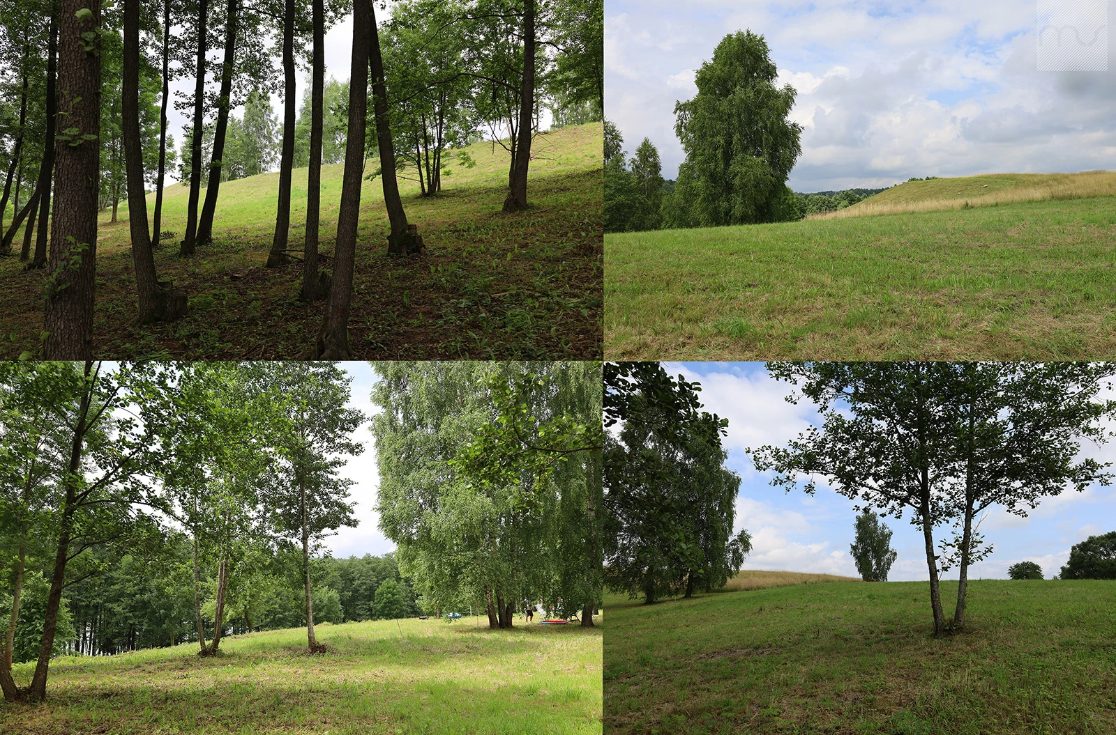 dzc-0901-kadr-krajobrazu-11