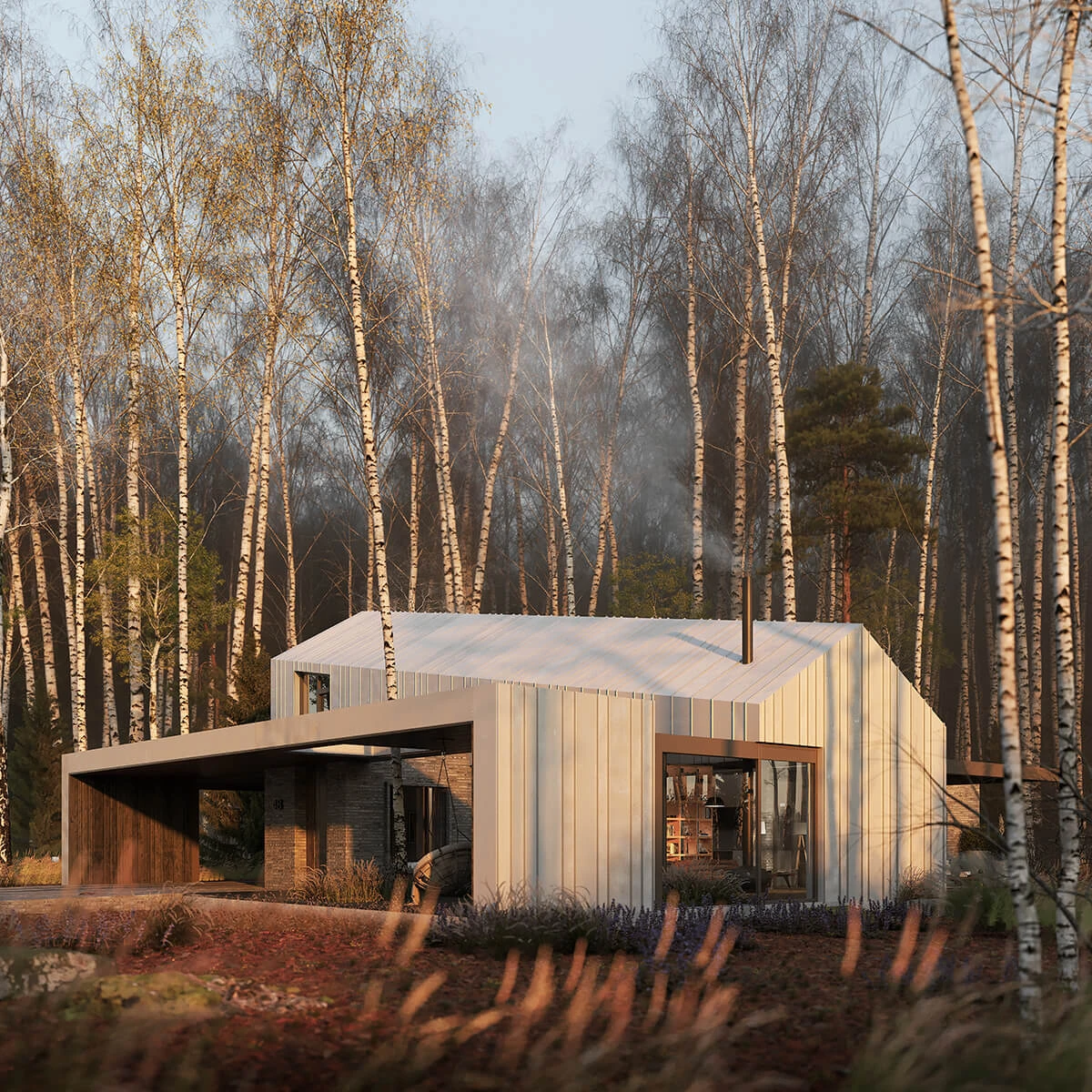 dzc-0641-dom-brzozowy-03