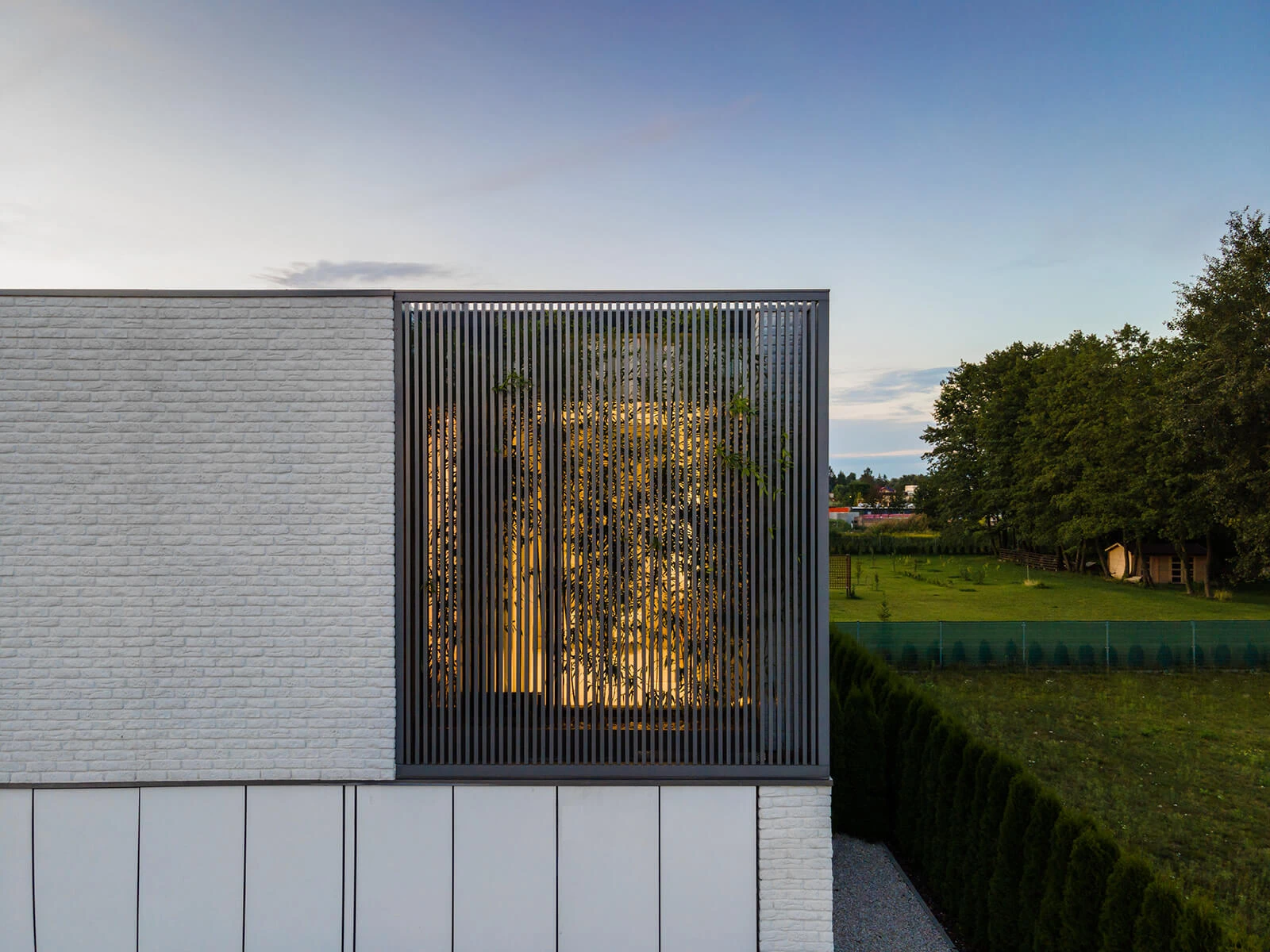 dzc-0560-dom-pod-drzewem-01