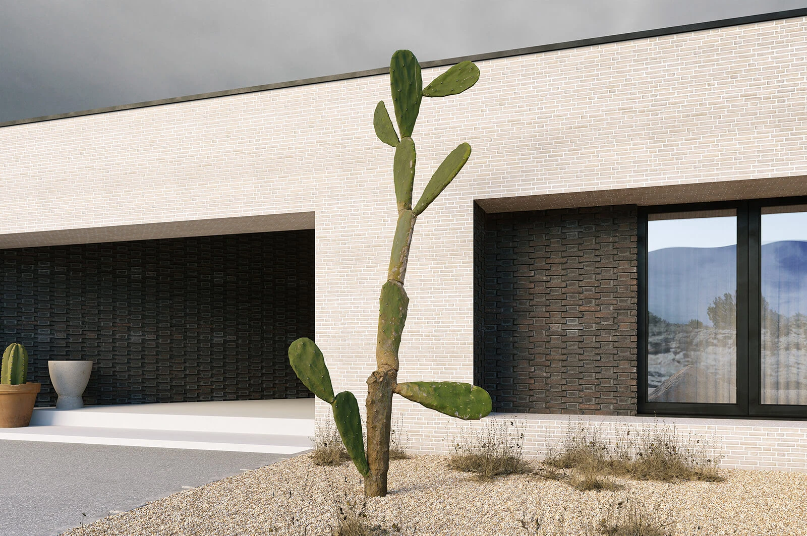 dzc-0486-dom-arizona-dream-02