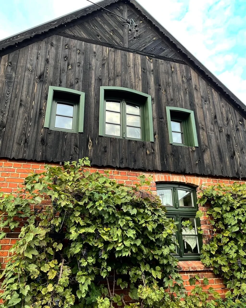 dom-pod-krolikiem-03