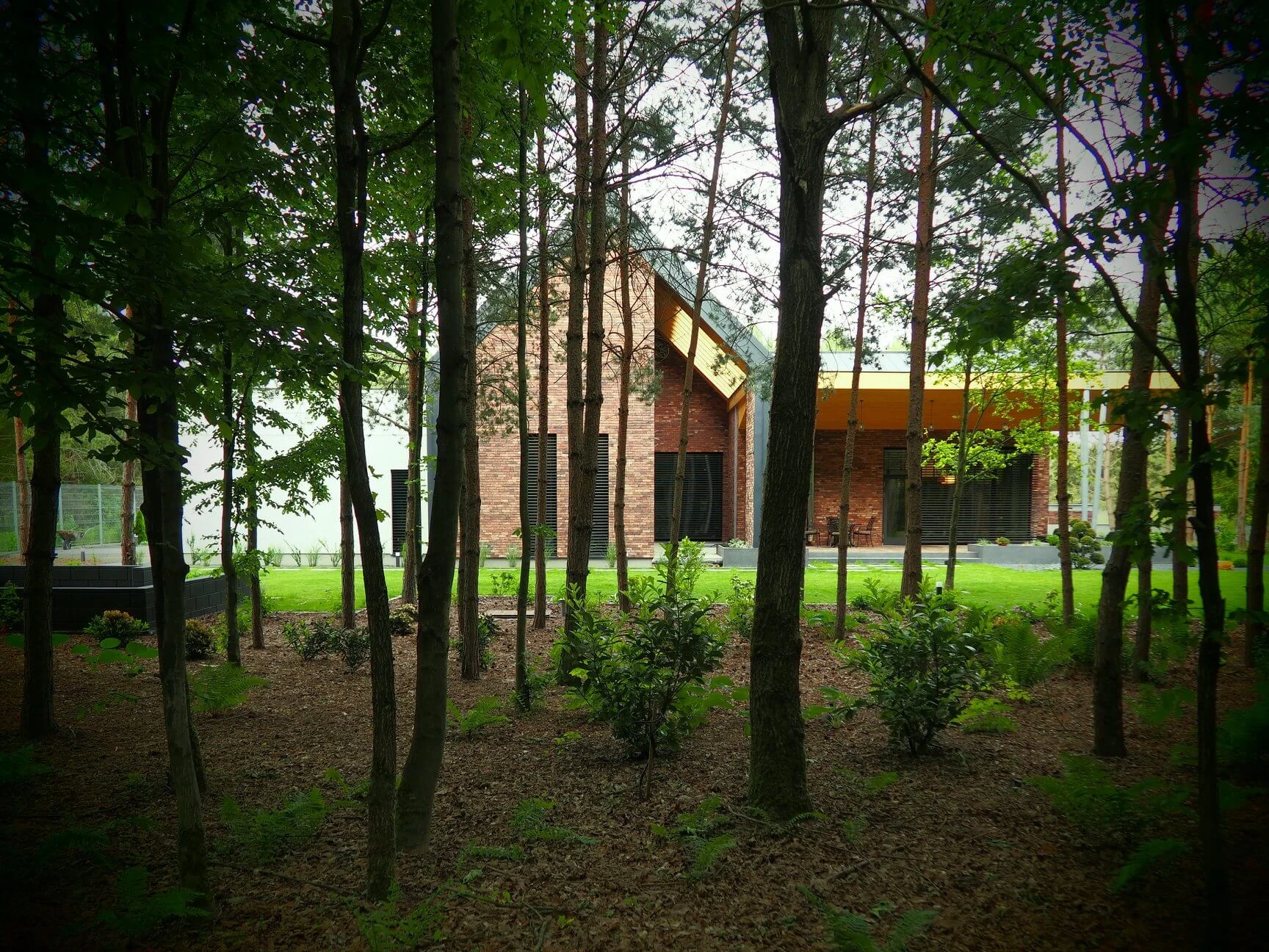 dzc-0384-dom-na-skraju-puszczy-6