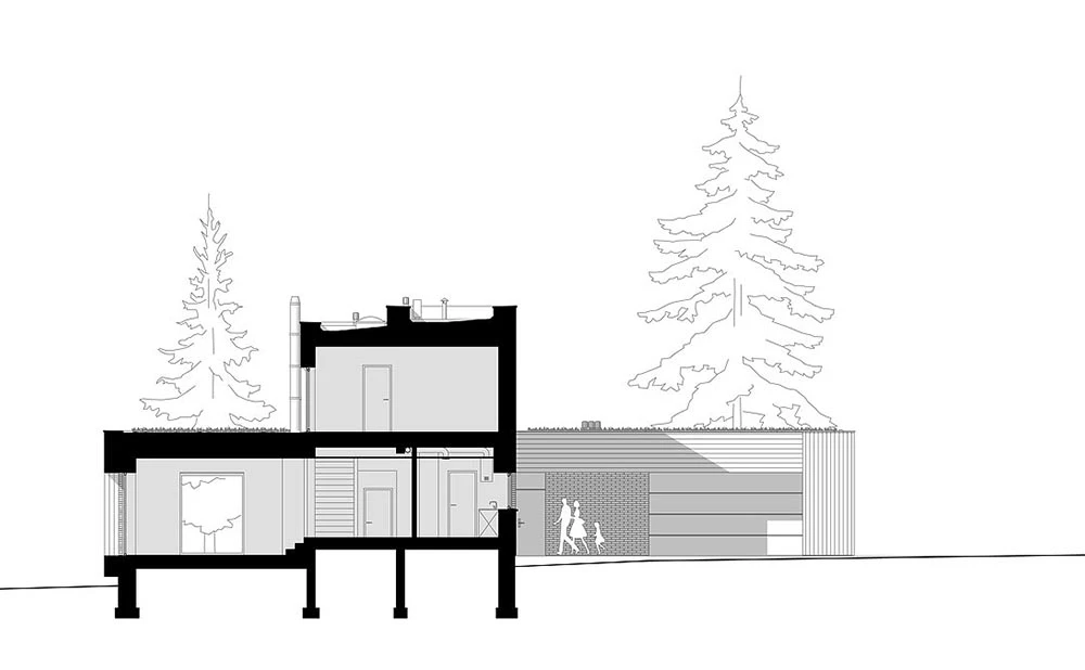 dzc-0129-dom-w-lesie-05