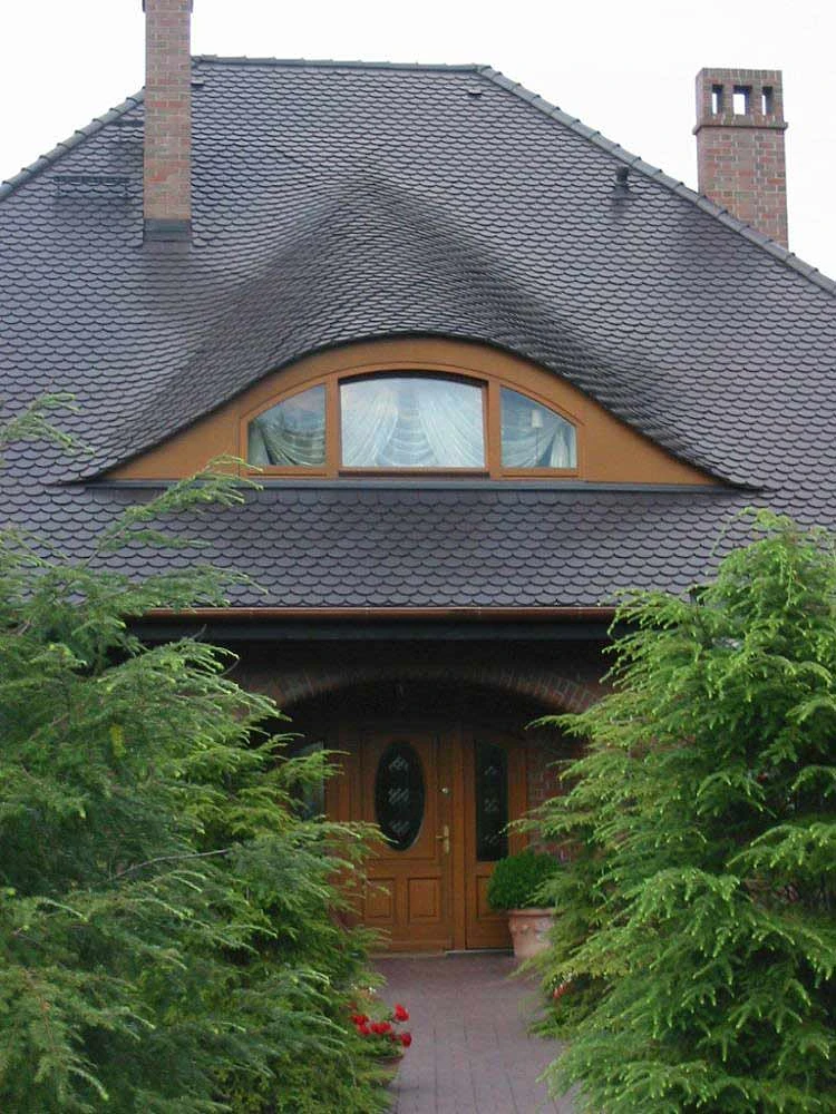 dzc-0093-dom-pod-szczecinem-02