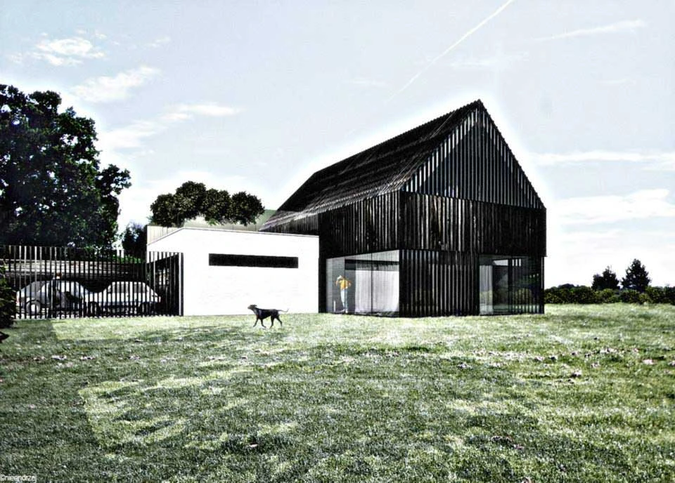 dzc-0088-dom-podcieniowy-01