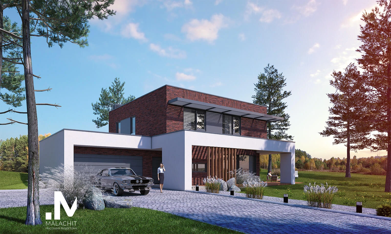 dzc-0333-dom-jednorodzinny-crastinus-05