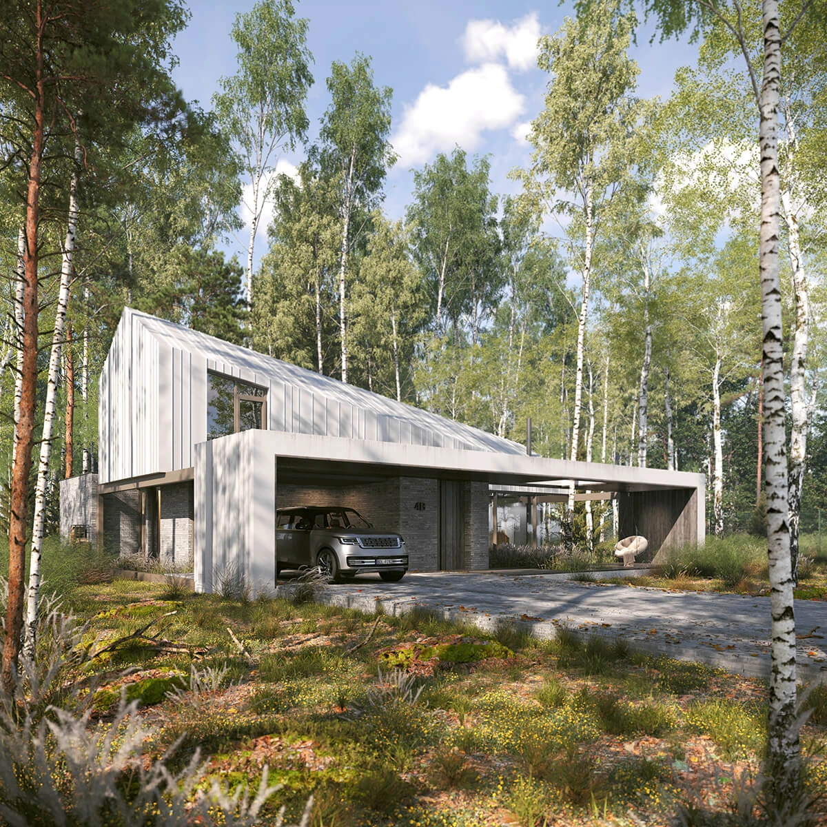 dzc-0641-dom-brzozowy-01