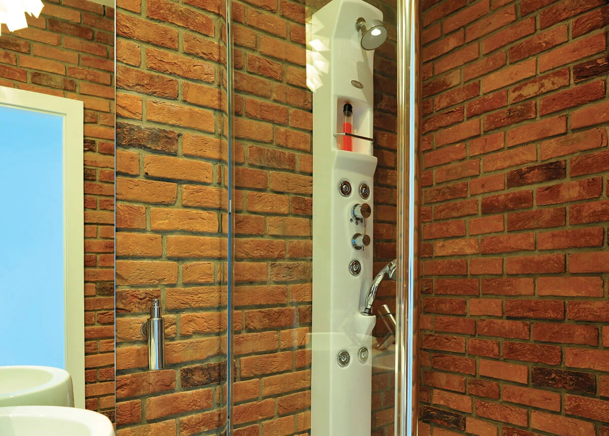 dzc-0155-dom-pod-poznaniem-04