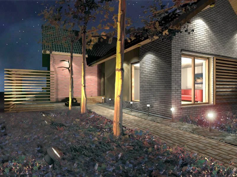 DzC0045-Dom-Z-I-N-O-12