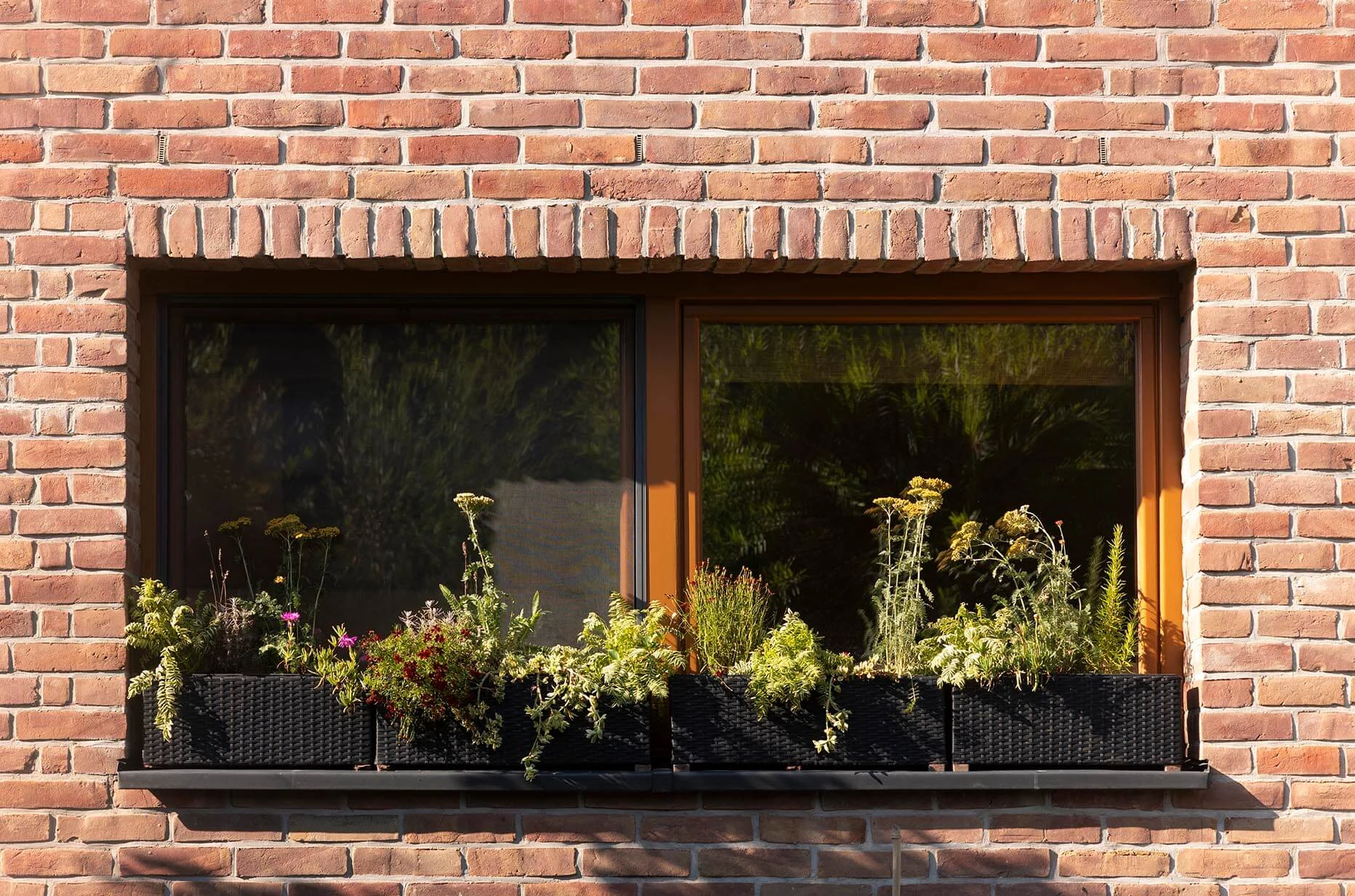 dzc-0875-dom-w-pawlikowicach-15