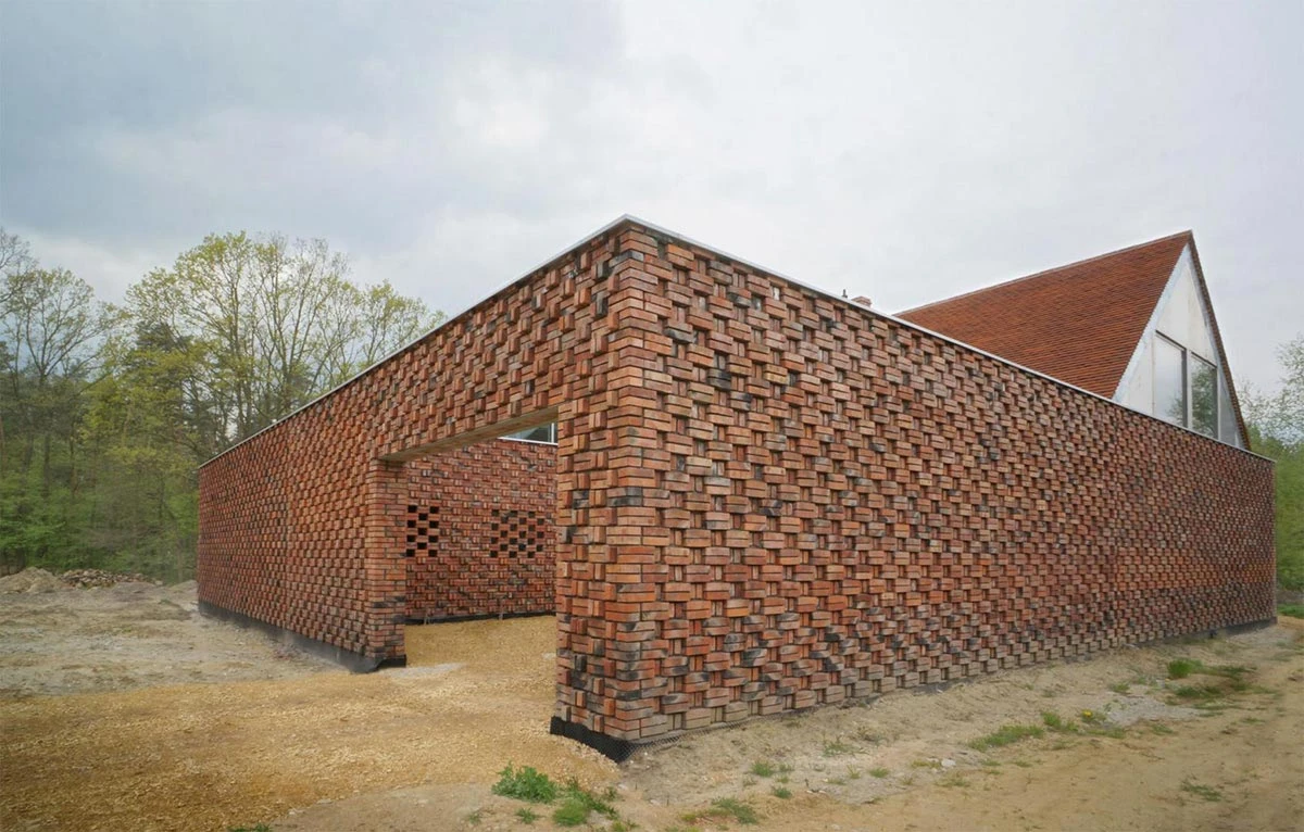 dzc-0116-rudy-dom-01