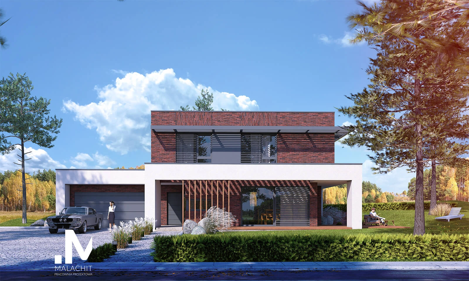 dzc-0333-dom-jednorodzinny-crastinus-01